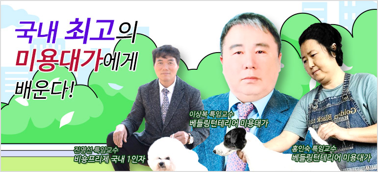 비용미용 국내 1인자, 베들링턴테리어 미용대가, DOG SHOW BIS, 동물미용사, 애견미용사, 반려견스타일리스트, 반려동물미용학과, 애견미용학과