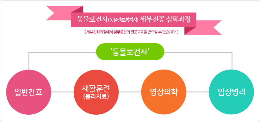 동물간호복지사학과의 세부심화과정