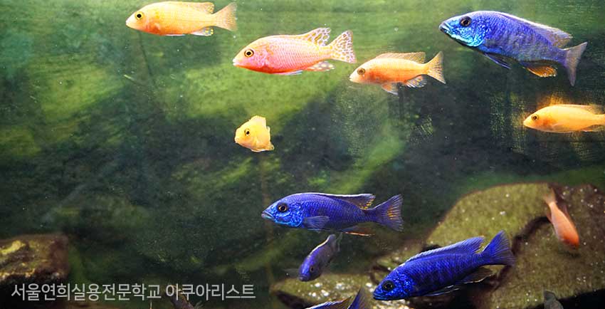 서울연희실용전문학교 특수동물사육학과 특수동물사육실습실