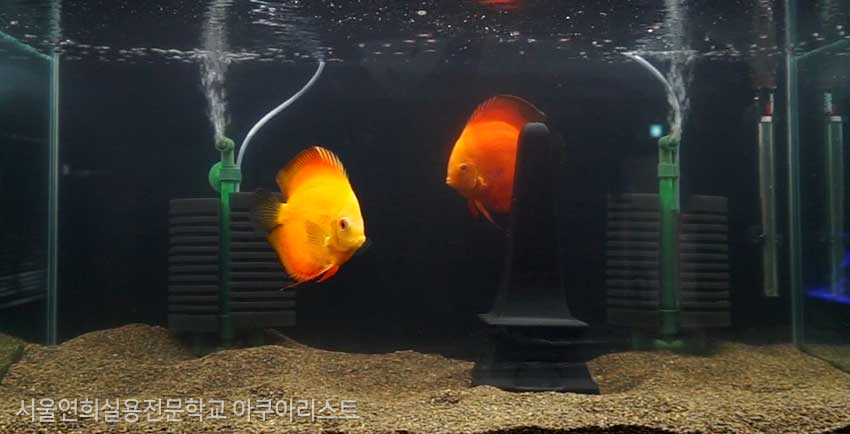 서울연희실용전문학교 특수동물사육학과 특수동물사육실습실