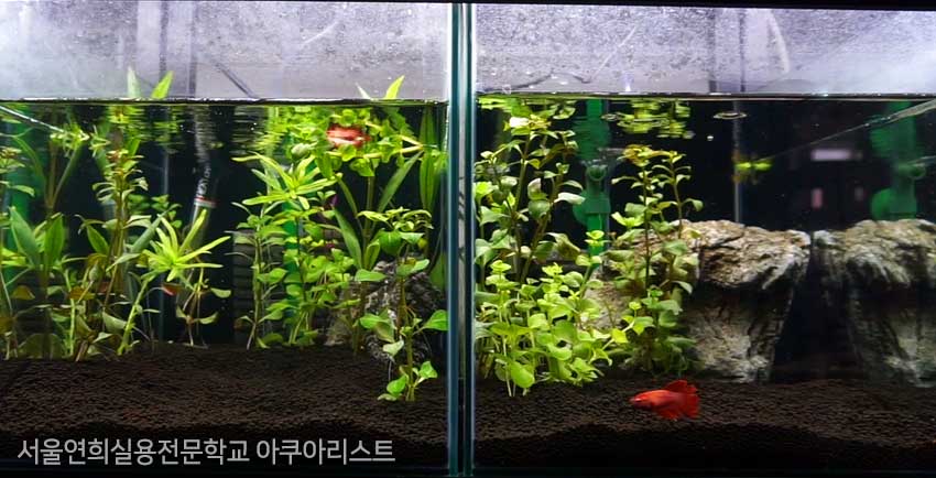 서울연희실용전문학교 특수동물사육학과 특수동물사육실습실