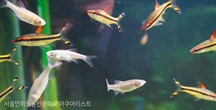 서울연희실용전문학교 특수동물사육학과 특수동물사육실습실