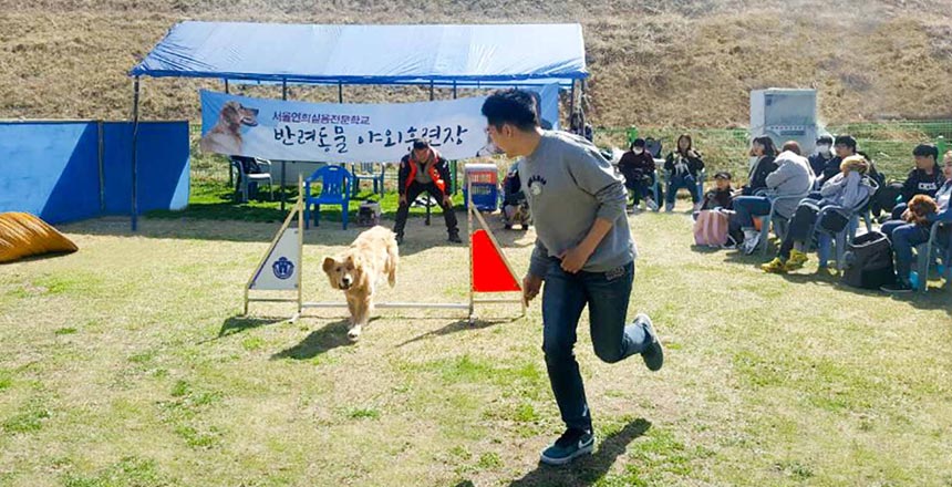 서울연희실용전문학교 애완반려동물학과 국내최고의 실습실