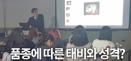 서울연희실용전문학교 애완동물학과 동물사육사학과 애견훈련 애견미용학과 갤러리 - 품종에 따른 태비와 성격?