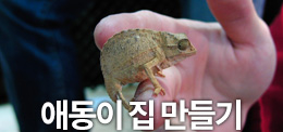 서울연희실용전문학교 애완동물학과 동물사육사학과 애견훈련 애견미용학과 갤러리 - 동물사육장 비바리움 만들기