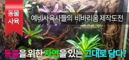 서울연희실용전문학교 애완동물학과 동물사육사학과 애견훈련 애견미용학과 갤러리 - 리얼하고 생생한 예비사육사들의 비바리움 제작실습