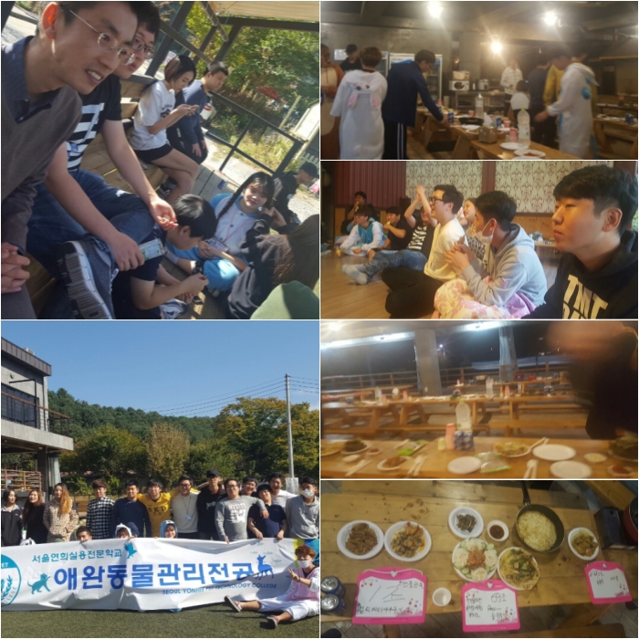 서울연희실용전문학교 애완동물학과 동물사육사학과 애견훈련 애견미용학과 - 1박~2일! 애동전공 단합대회 이야기