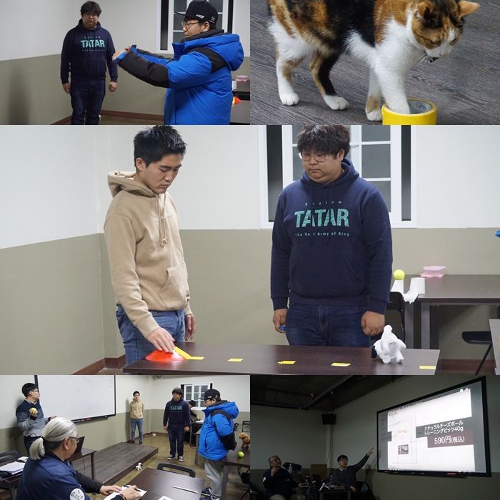 서울연희실용전문학교 애완동물학과 동물사육사학과 애견훈련 애견미용학과 - 국내유일 클리커 전문가를 위한 자격증 강좌 성료