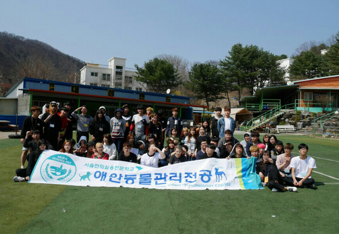 서울연희실용전문학교 애완동물학과 동물사육사학과 애견훈련 애견미용학과 - 따뜻한 봄날 즐거운 시간 보냈어요