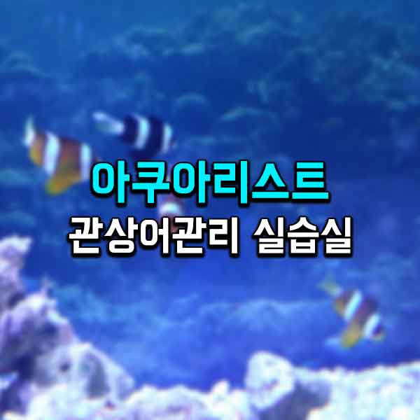 서울연희실용전문학교 애완동물학과 동물사육사학과 애견훈련 애견미용학과 - 아쿠아리스트를 위한 관상어관리 실습