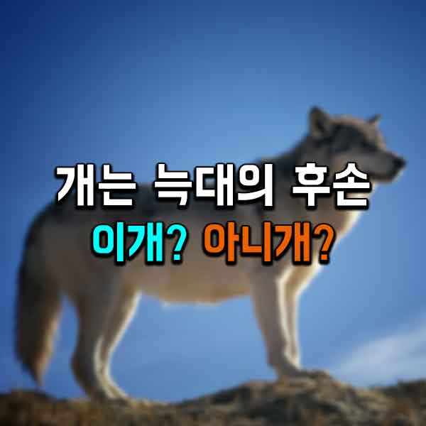 서울연희실용전문학교 애완동물학과 동물사육사학과 애견훈련 애견미용학과 갤러리 - 반려견 특성 존중 및 맞는 교육법 적용 필요