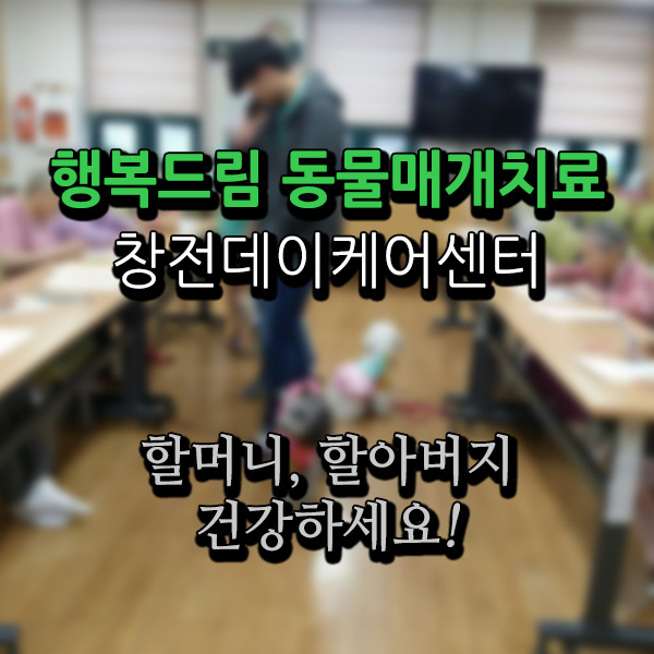 서울연희실용전문학교 애완동물학과 동물사육사학과 애견훈련 애견미용학과 - 창전데이케어센터봉사 할머니, 할아버지 건강하세요.