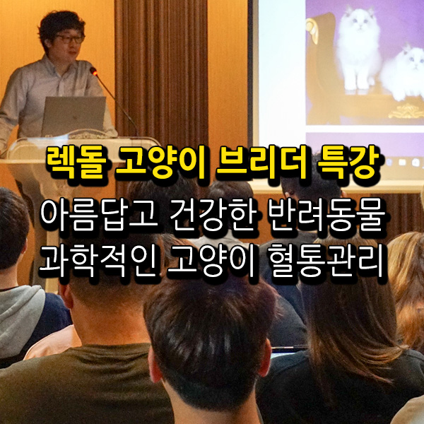 서울연희실용전문학교 애완동물학과 동물사육사학과 애견훈련 애견미용학과 - 반려묘의 과학적이고 전문적인 관리를 위한