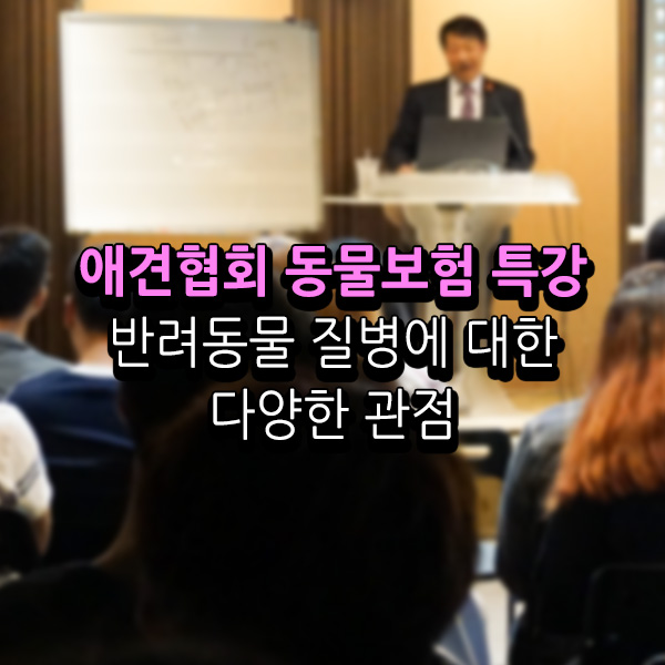 서울연희실용전문학교 애완동물학과 동물사육사학과 애견훈련 애견미용학과 - 애견협회 반려동물보험 특강 성료