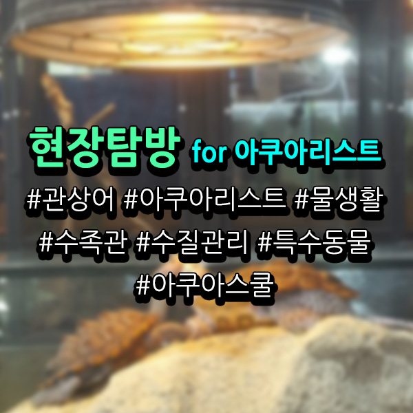 서울연희실용전문학교 애완동물학과 동물사육사학과 애견훈련 애견미용학과 - 수족관 및 특수동물 스토어 아쿠아스쿨 견학