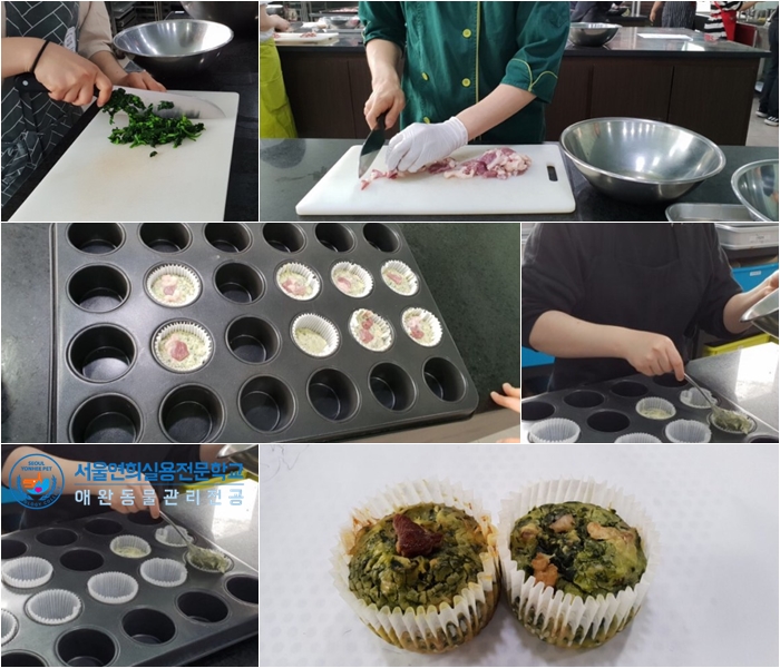 서울연희실용전문학교 애완동물학과 동물사육사학과 애견훈련 애견미용학과 - 반려동물을 위한 영양간식 만들기(펫베이커리, 펫푸드스타일리스트)