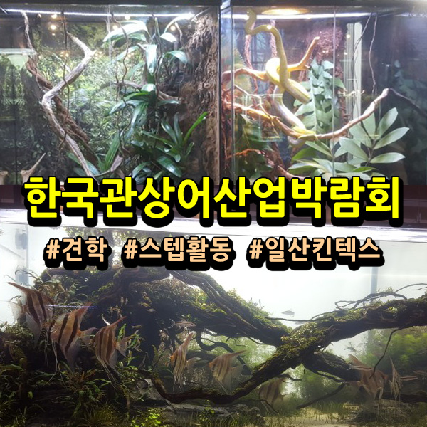 서울연희실용전문학교 애완동물학과 동물사육사학과 애견훈련 애견미용학과 - 해수부 한국관상어박람회 다녀왔어요.