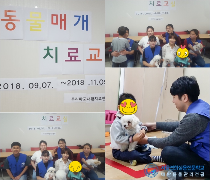 서울연희실용전문학교 애완동물학과 동물사육사학과 애견훈련 애견미용학과 - 복지관 동물매개치료 실습 진행