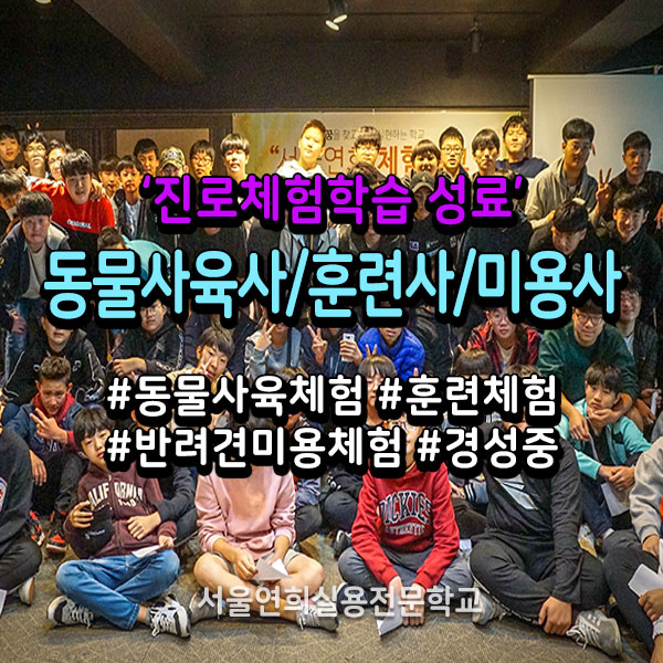 서울연희실용전문학교 애완동물학과 동물사육사학과 애견훈련 애견미용학과 갤러리 - 적성맞춤 진로체험학습 성료