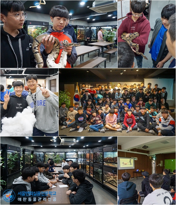 서울연희실용전문학교 애완동물학과 동물사육사학과 애견훈련 애견미용학과 - 적성맞춤 진로체험학습 성료