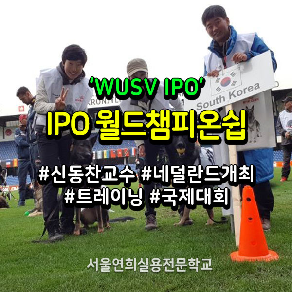 서울연희실용전문학교 애완동물학과 동물사육사학과 애견훈련 애견미용학과 - WUSV 월드 챔피언십 출전