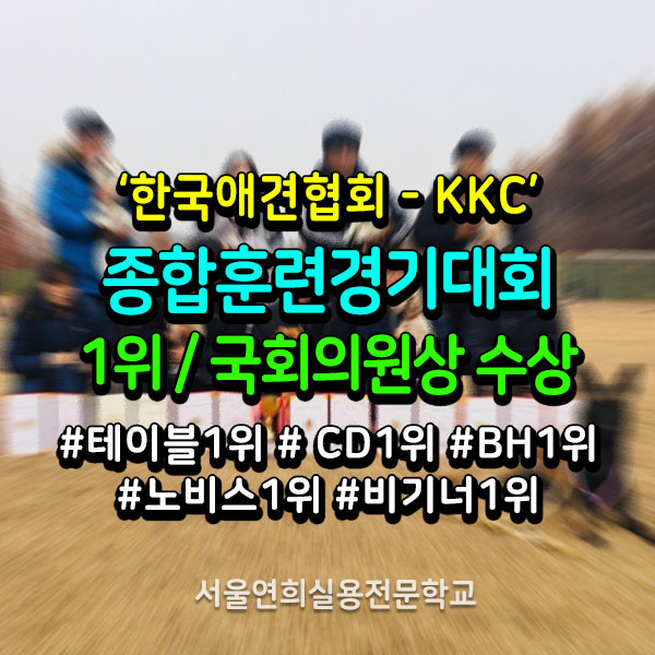 서울연희실용전문학교 애완동물학과 동물사육사학과 애견훈련 애견미용학과 - KKC 종합훈련경기대회 석권