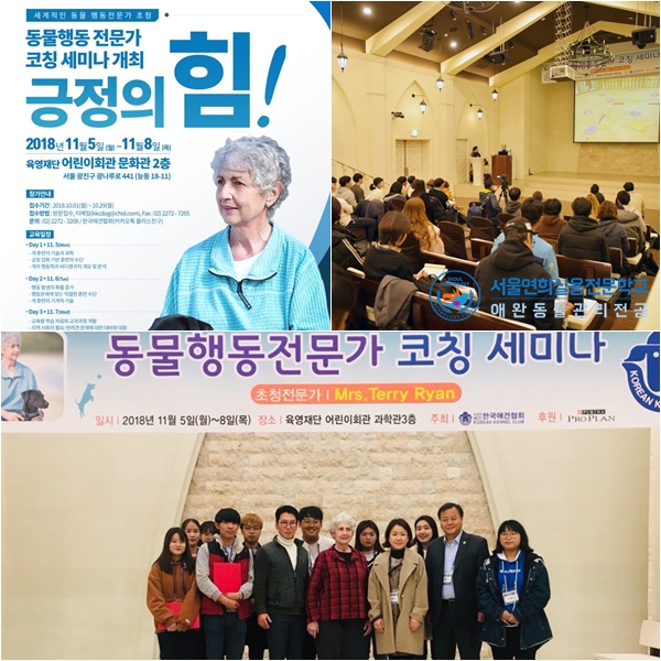 서울연희실용전문학교 애완동물학과 동물사육사학과 애견훈련 애견미용학과 - 동물행동 전문가, 테리 라이언의 