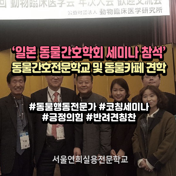 서울연희실용전문학교 애완동물학과 동물사육사학과 애견훈련 애견미용학과 갤러리 - 일본에서 열린 동물간호학회 세미나 참석