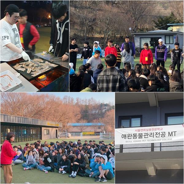 서울연희실용전문학교 애완동물학과 동물사육사학과 애견훈련 애견미용학과 - 청춘의 꽃! 애완동물관리전공 엠티 현장!