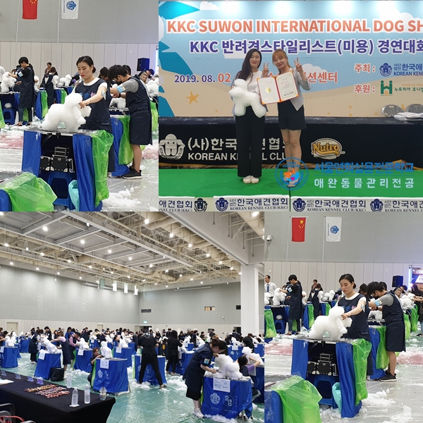 서울연희실용전문학교 애완동물학과 동물사육사학과 애견훈련 애견미용학과 - KKC 반려견스타일리스트(애견미용사) 경연대회 수상