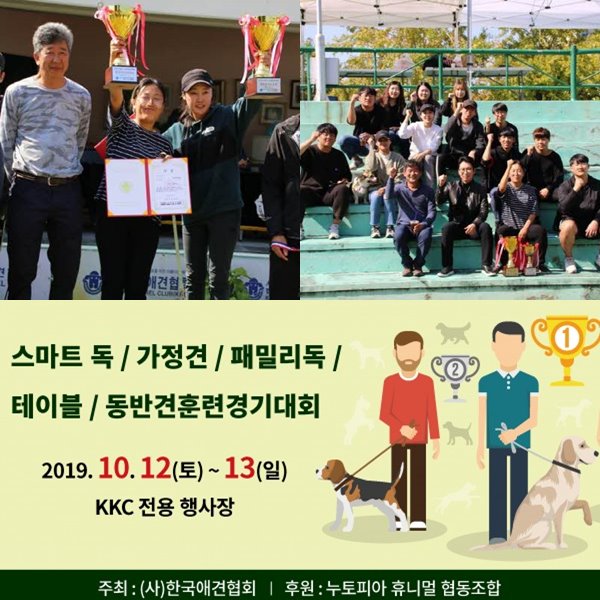 서울연희실용전문학교 애완동물학과 동물사육사학과 애견훈련 애견미용학과 갤러리 - 한국애견협회 가정견훈련대회 최우수지도자상 등 석권