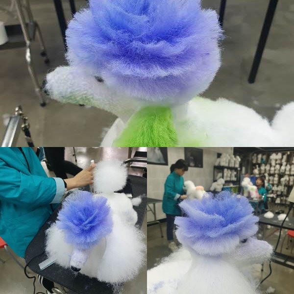 서울연희실용전문학교 애완동물학과 동물사육사학과 애견훈련 애견미용학과 갤러리 - 반려동물스타일리스트 아트미용의 매력속으로