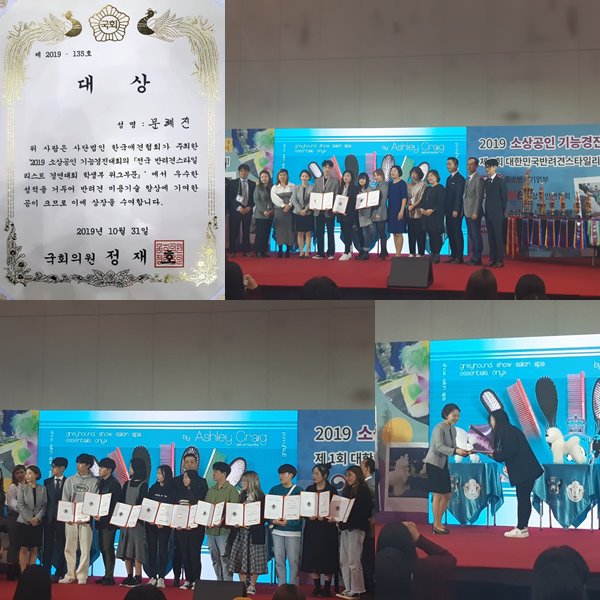 서울연희실용전문학교 애완동물학과 동물사육사학과 애견훈련 애견미용학과 갤러리 - 한국애견협회 주최, 소상공인기능경진대회서 반려견스타일리스트 부문 석권