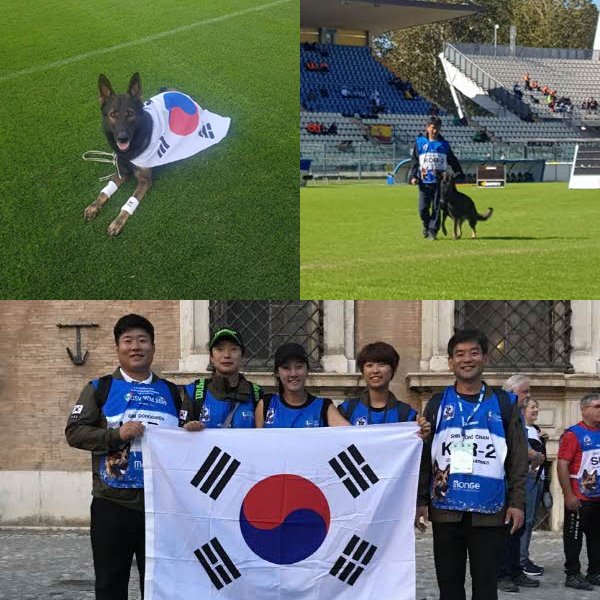 서울연희실용전문학교 애완동물학과 동물사육사학과 애견훈련 애견미용학과 갤러리 - 2019 World Champion Ship 신동찬 교수 월드챔피언십 출전!