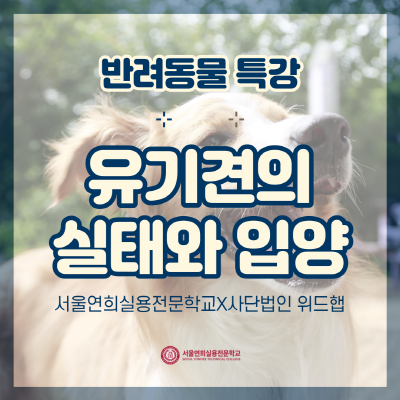 서울연희실용전문학교 애완동물학과 동물사육사학과 애견훈련 애견미용학과 갤러리 - 방학 특강) 유기견의 실태와 유기견 입양 (with 위드햅)