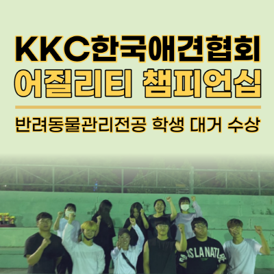 서울연희실용전문학교 애완동물학과 동물사육사학과 애견훈련 애견미용학과 - KKC(한국애견협회) 어질리티 챔피언십 1등 수상 쾌거!