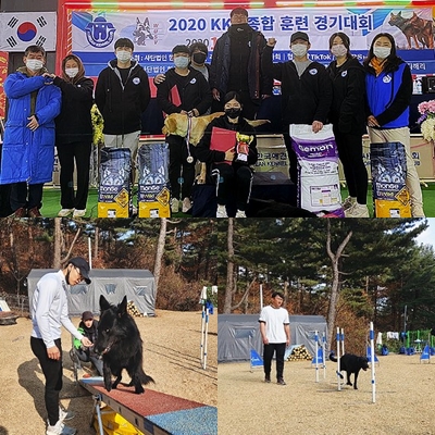 서울연희실용전문학교 애완동물학과 동물사육사학과 애견훈련 애견미용학과 - KKC 반려견훈련경기 대회 국회위원상, 1등, 2등 수상