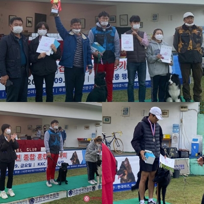 서울연희실용전문학교 애완동물학과 동물사육사학과 애견훈련 애견미용학과 갤러리 - KKC 반려견종합훈련경기대회서 금상, 동상 수상