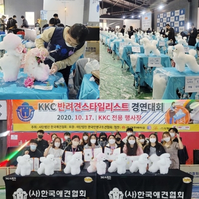 서울연희실용전문학교 애완동물학과 동물사육사학과 애견훈련 애견미용학과 갤러리 - KKC 반려견스타일리스트 금상, 은상, 동상, 장려상 수상