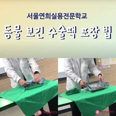 서울연희실용전문학교 애완동물학과 동물사육사학과 애견훈련 애견미용학과 갤러리 - 현직 동물병원 외과 팀장 수술 팩 포장 강의