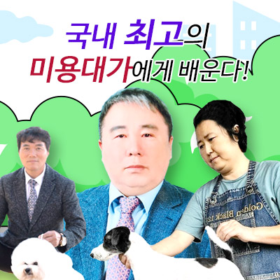 서울연희실용전문학교 애완동물학과 동물사육사학과 애견훈련 애견미용학과 갤러리 - 국내 최고의 반려견 미용대가에게 배운다!