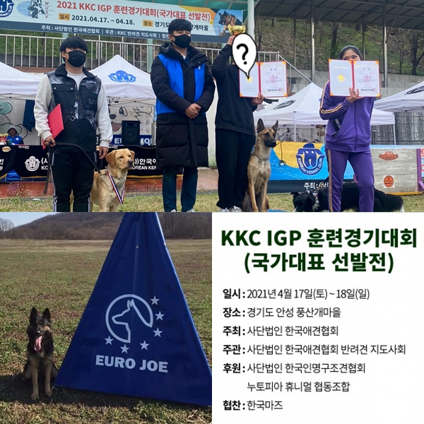 서울연희실용전문학교 애완동물학과 동물사육사학과 애견훈련 애견미용학과 - 2021 KKC IGP 훈련경기대회(국가대표 선발전) 수상