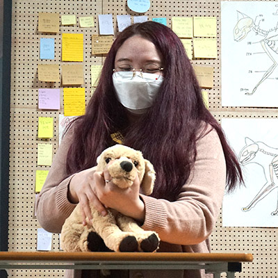 서울연희실용전문학교 애완동물학과 동물사육사학과 애견훈련 애견미용학과 갤러리 - 동물보건사로 진출 위한 동물병원의 수의테크니션 실무를 배웁니다