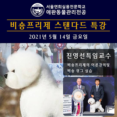 서울연희실용전문학교 애완동물학과 동물사육사학과 애견훈련 애견미용학과 갤러리 - 비숑프리제 국내 1인자, 진영선 특임교수 특강안내