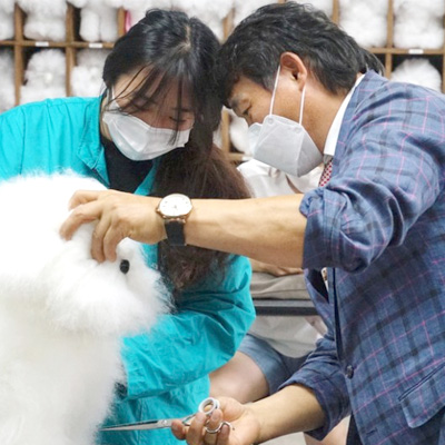 서울연희실용전문학교 애완동물학과 동물사육사학과 애견훈련 애견미용학과 갤러리 - 비숑프리제 미용 특강 성료, 국내 비숑 일인자 진영선 교수 직강
