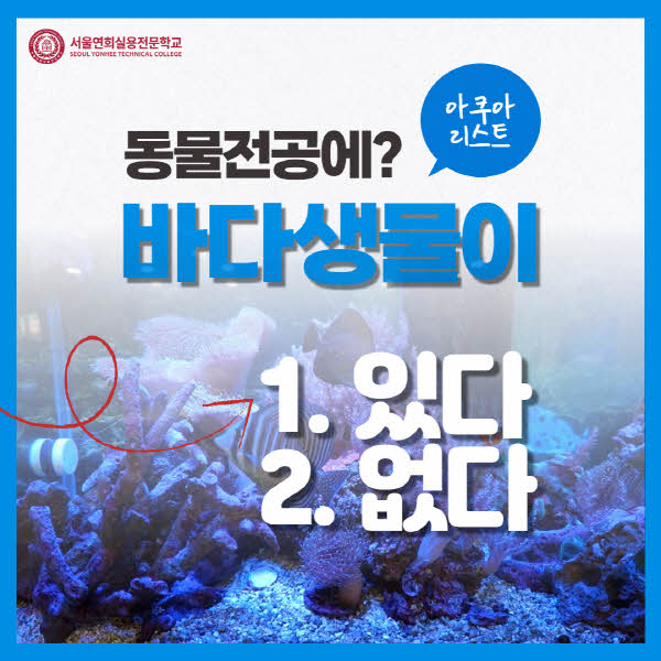 서울연희실용전문학교 애완동물학과 동물사육사학과 애견훈련 애견미용학과 갤러리 - 동물전공에서 해양생물(동물)을 배우나요?