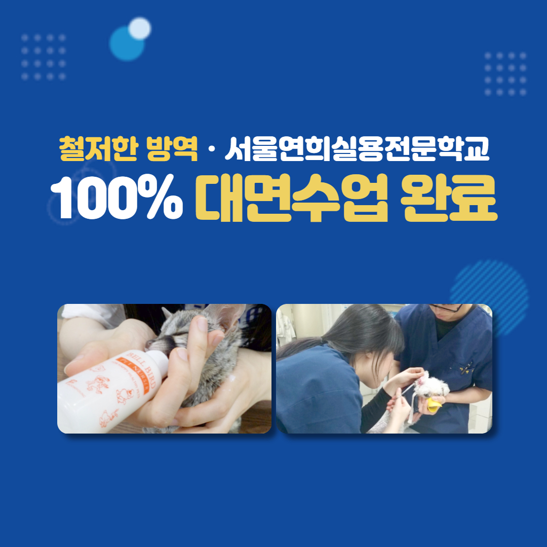 서울연희실용전문학교 애완동물학과 동물사육사학과 애견훈련 애견미용학과 - 철저한 방역, 서울연희실용전문학교 100% 대면수업 완료