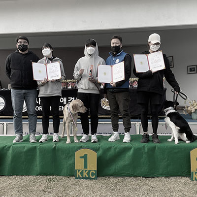 서울연희실용전문학교 애완동물학과 동물사육사학과 애견훈련 애견미용학과 갤러리 - KKC 어질리티 챔피언쉽 1등 수상